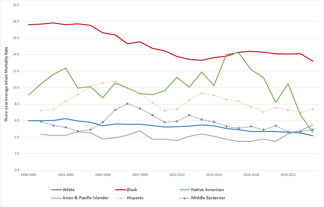 Infant Mortality Rates by Leading Causes of Infant Deaths, 1980-2023