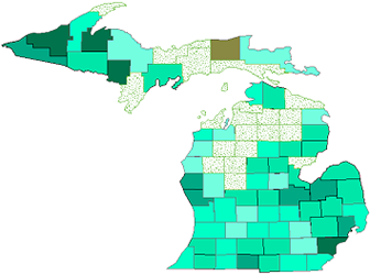 2020 COVID-19 Age-adjusted Rates